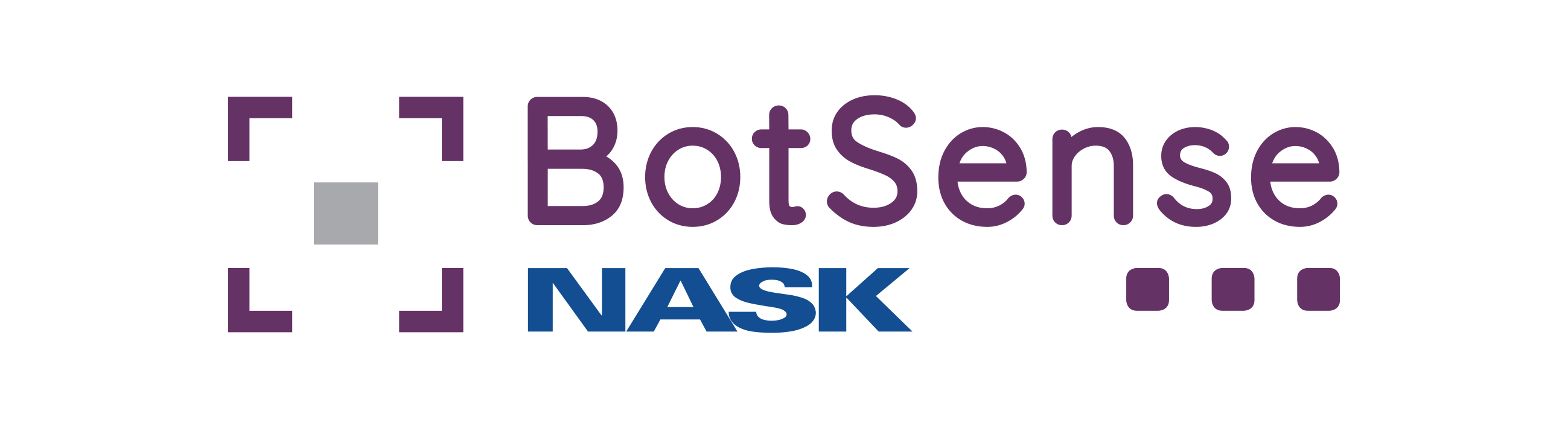 Botsense Logo